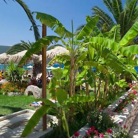 Villa De Vico *